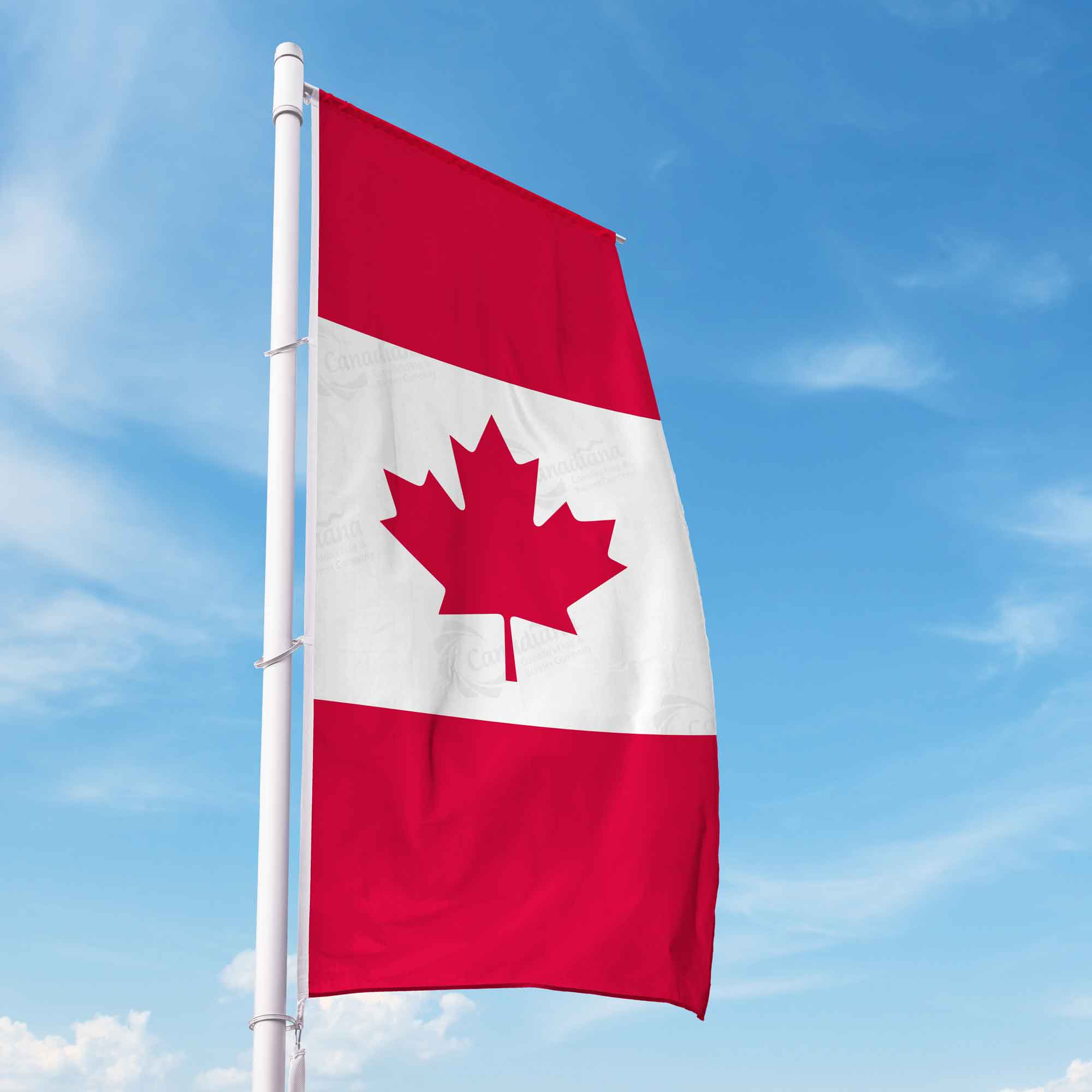 Canada Auto Banner