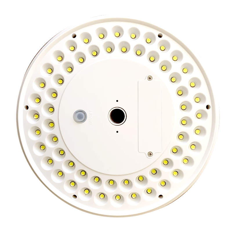 Canadiana Flag Solar Light - Canadiana Flag