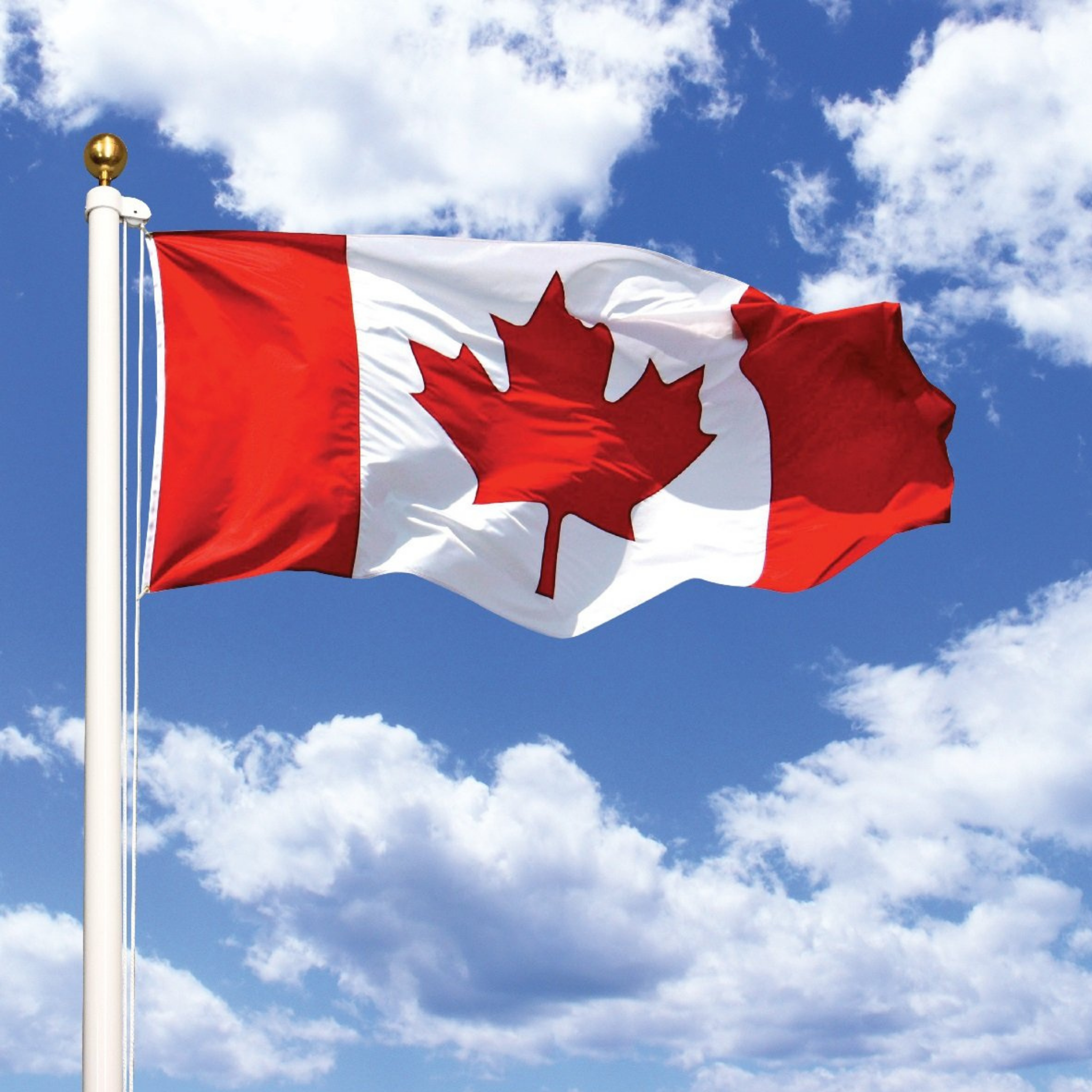 18′ Heavy Duty Steel Flagpole