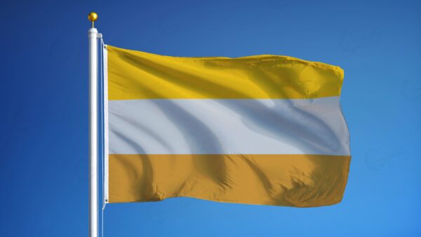 Disability Flag - Canadiana Flag