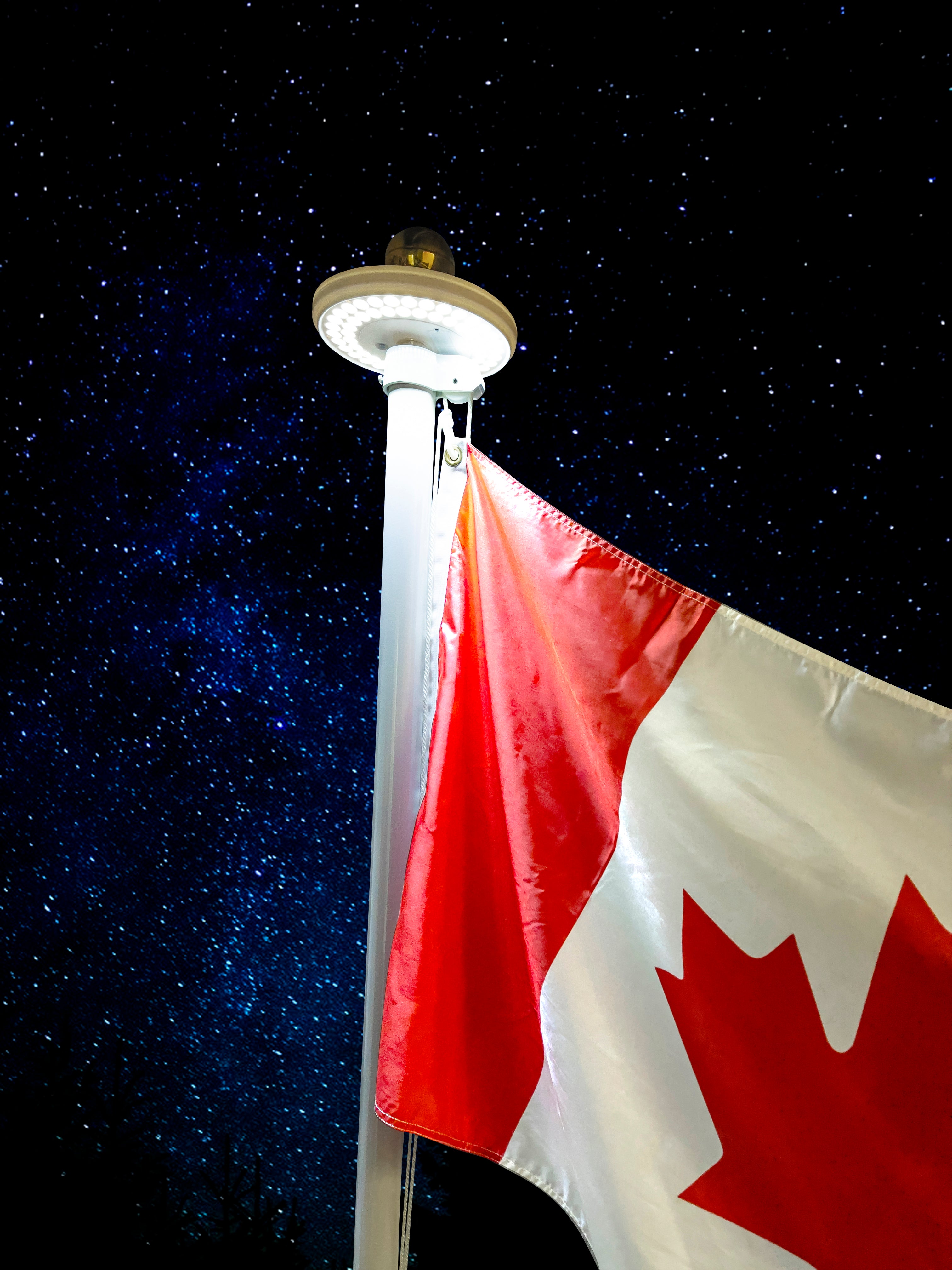 Canadiana Flag Solar Light - Canadiana Flag